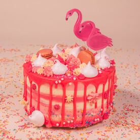 Fabulous Flamingo cake